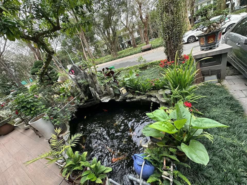 Townhouse Ecopark Hưng Yên 210m² giá 45 tỷ - Cơ hội hiếm có!