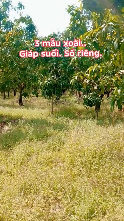 Đất nông nghiệp Xã Thanh Sơn, Huyện Định Quán 30.000m² giá 5 tỷ - Cơ hội đầu tư sinh lời!