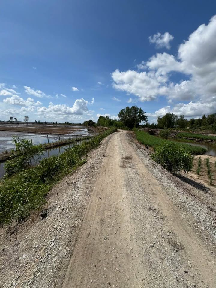 Đất nông nghiệp Ô Long Vỹ, Châu Phú, An Giang 12 công giá 2.28 tỷ - Đầu tư sinh lời ngay!