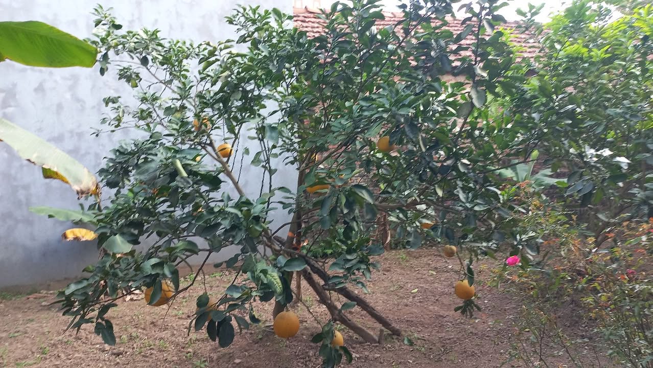 Đất nền LK 5 đô thị NCT, 90m² giá 5.3 tỷ - Pháp lý rõ ràng