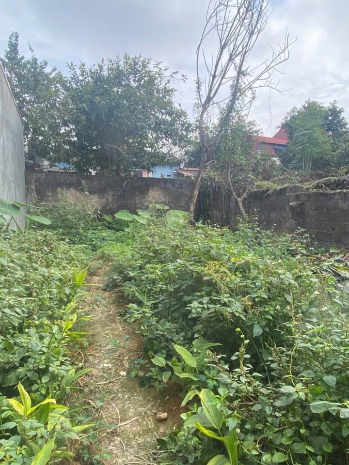 Đất nền chính chủ phường Tam Thanh 100m² giá 1.18 tỷ - Đầu tư sinh lời ngay!