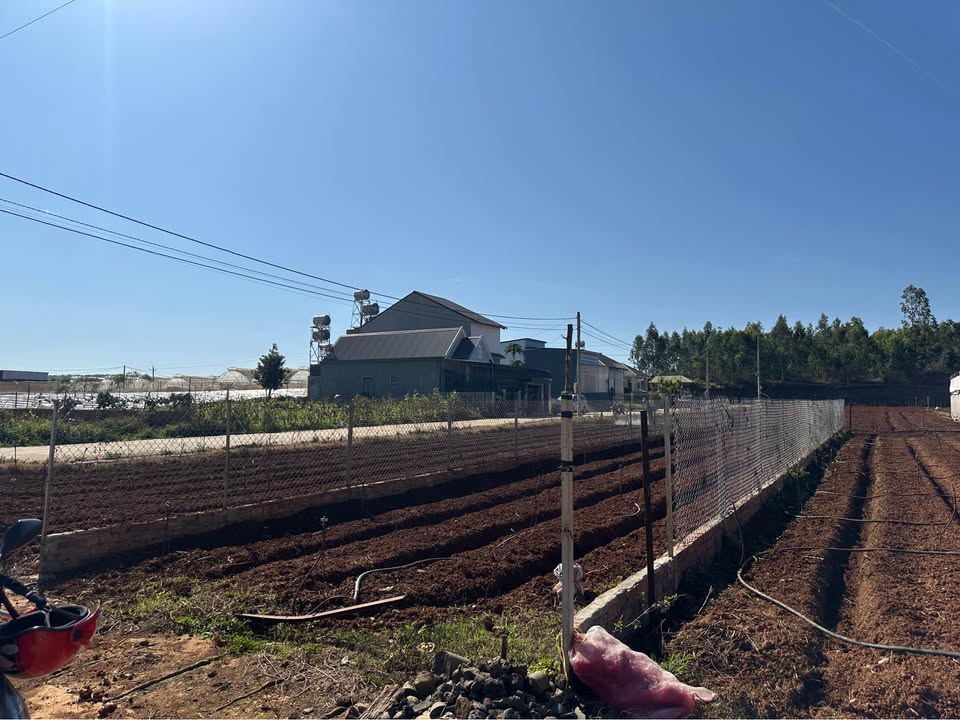 Đất nền Thạnh Mỹ Đơn Dương 186m² giá 800 triệu - Đầu tư sinh lời ngay!