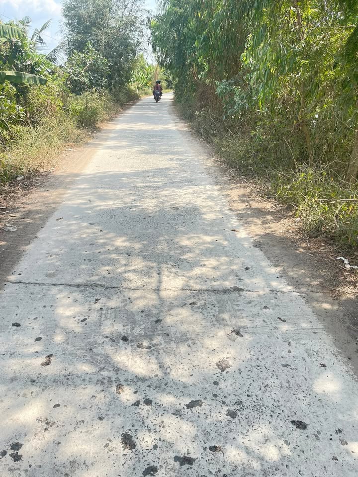 Đất Farm Xã Phú Hiệp, Huyện Tam Nông, 11520m² giá 3.84 tỷ - Đầu tư sinh lời cao!