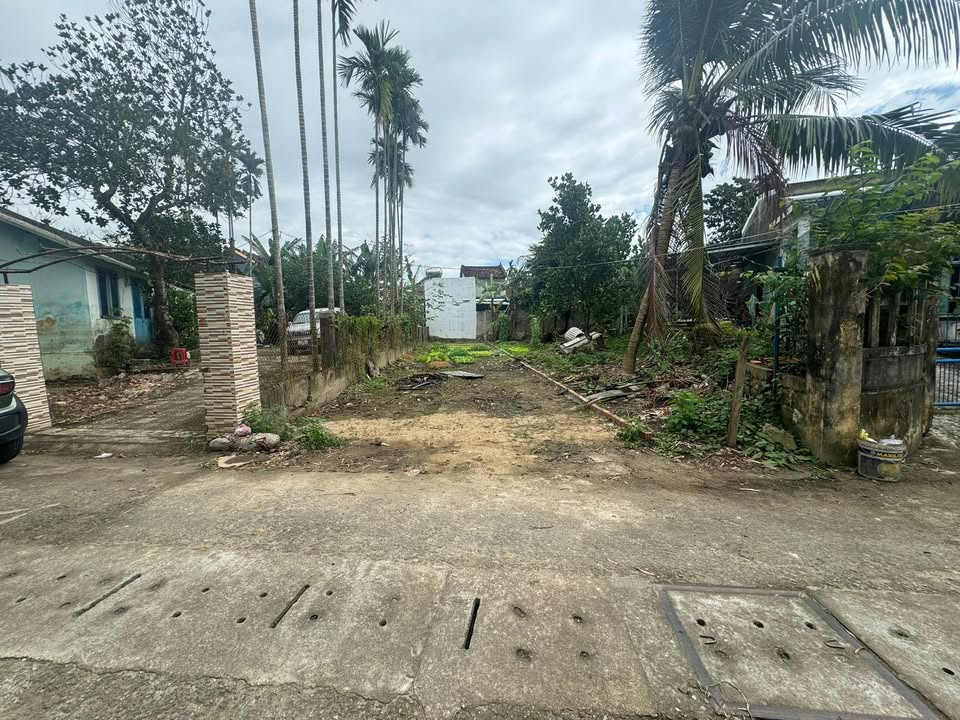 Đất nền Phong Nam - Hòa Xuân 145m² giá 2.69 tỷ - Đầu tư sinh lời ngay!