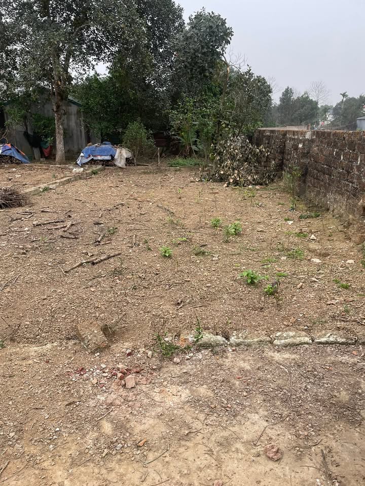 Đất nền Kim Bông, Thạch Thất 100m² giá 300 triệu - Đầu tư sinh lời tốt!