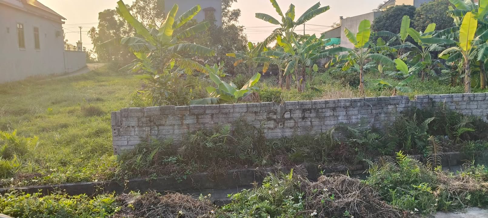 Đất nền Xã Xuân Lộc, Huyện Hậu Lộc 181m² - Mặt tiền 8m, hướng Nam