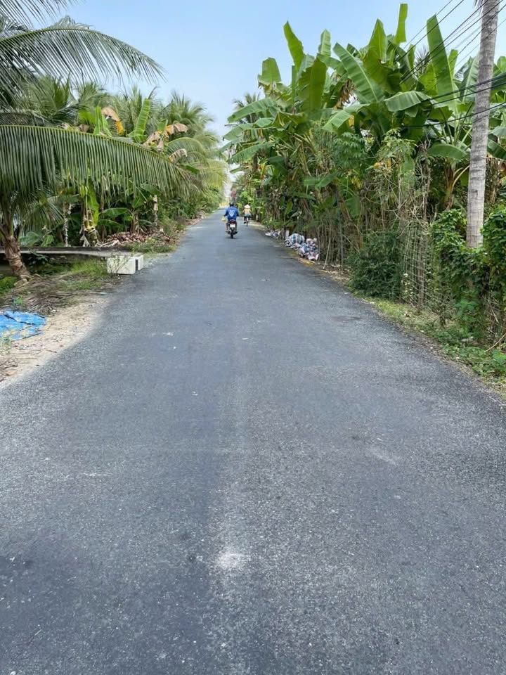 Đất nền xã Bình Trưng, Châu Thành, Tiền Giang 504m² giá 2 tỷ - Cần bán gấp chính chủ!