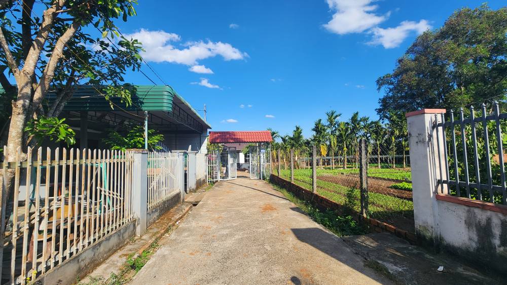 Đất thổ cư Phường Khánh Xuân 185m² giá 1,05 tỷ - Sổ hồng chính chủ!