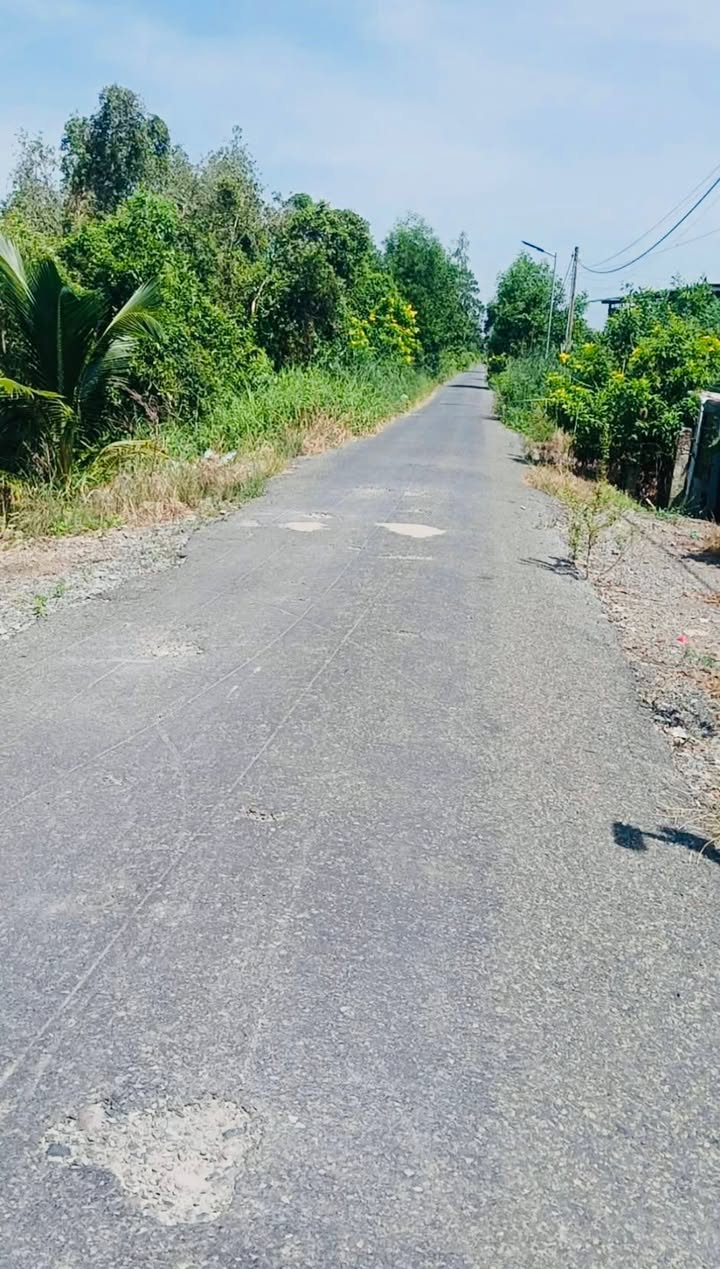 Đất nền Tân Tây, Thạnh Hóa 9700m² giá chỉ 5.82 tỷ - Đầu tư sinh lời ngay!