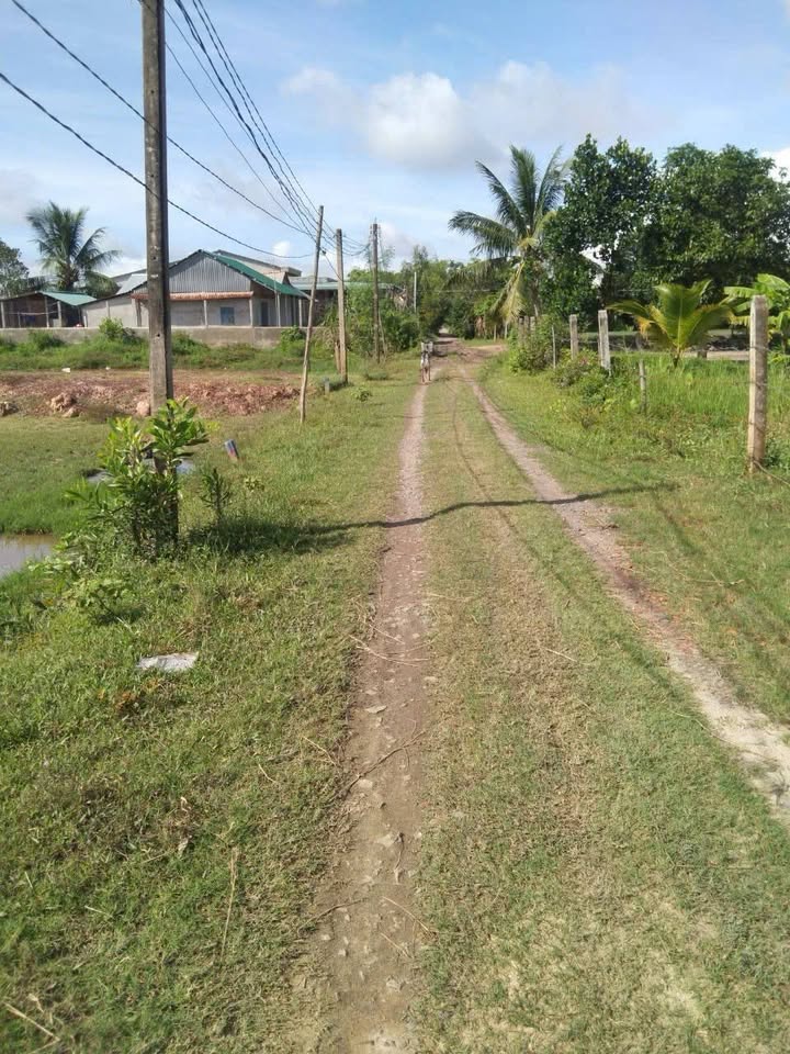 Đất nền Ấp 1, Mỹ Quý Tây, 400m² giá chỉ 800 triệu - Đầu tư sinh lời cao!