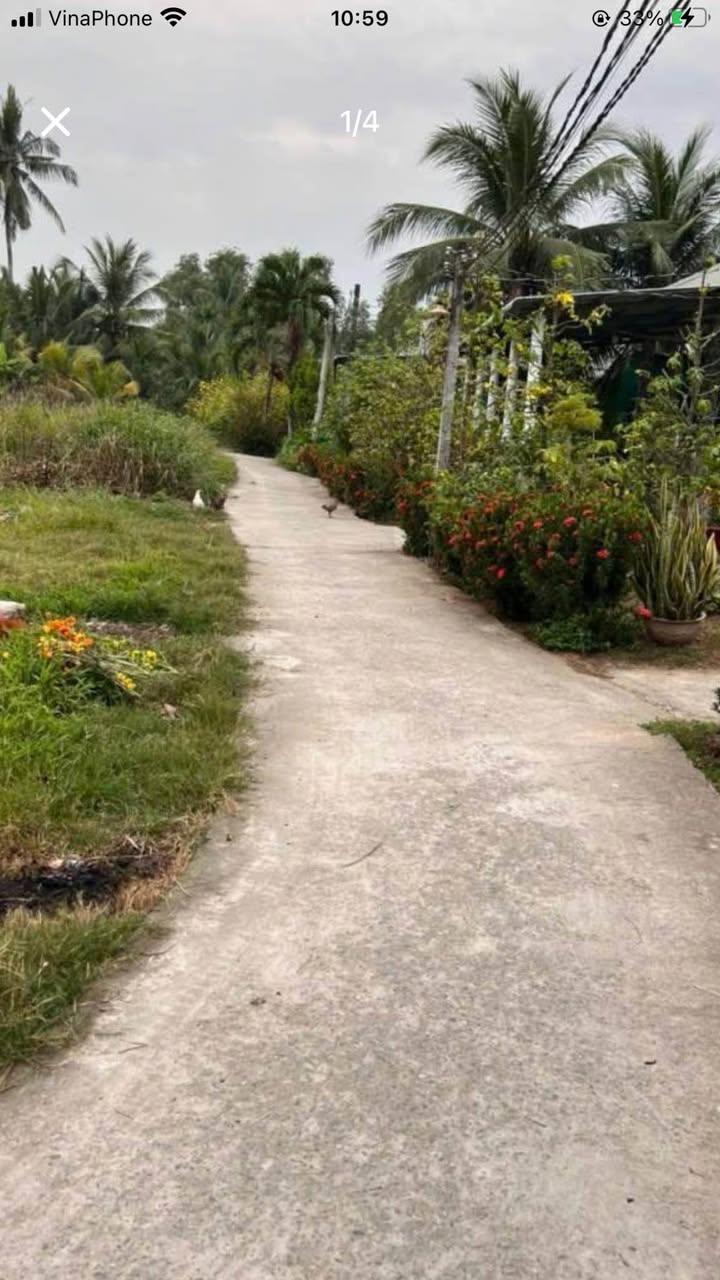 Đất nền thổ cư 100m² tại Phường Khánh Hậu, Tây Ninh - Giá chỉ 520 triệu!