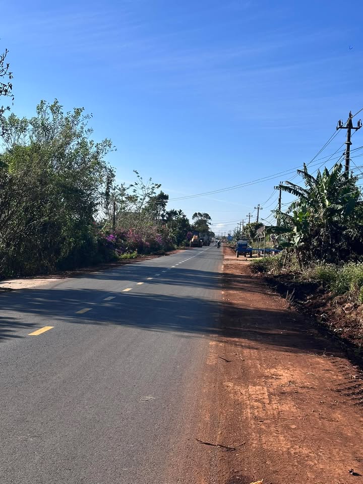 Đất thổ cư 2080m² tại Xã Ea Toh, Huyện Krông Năng - Giá chỉ 62.4 tỷ!