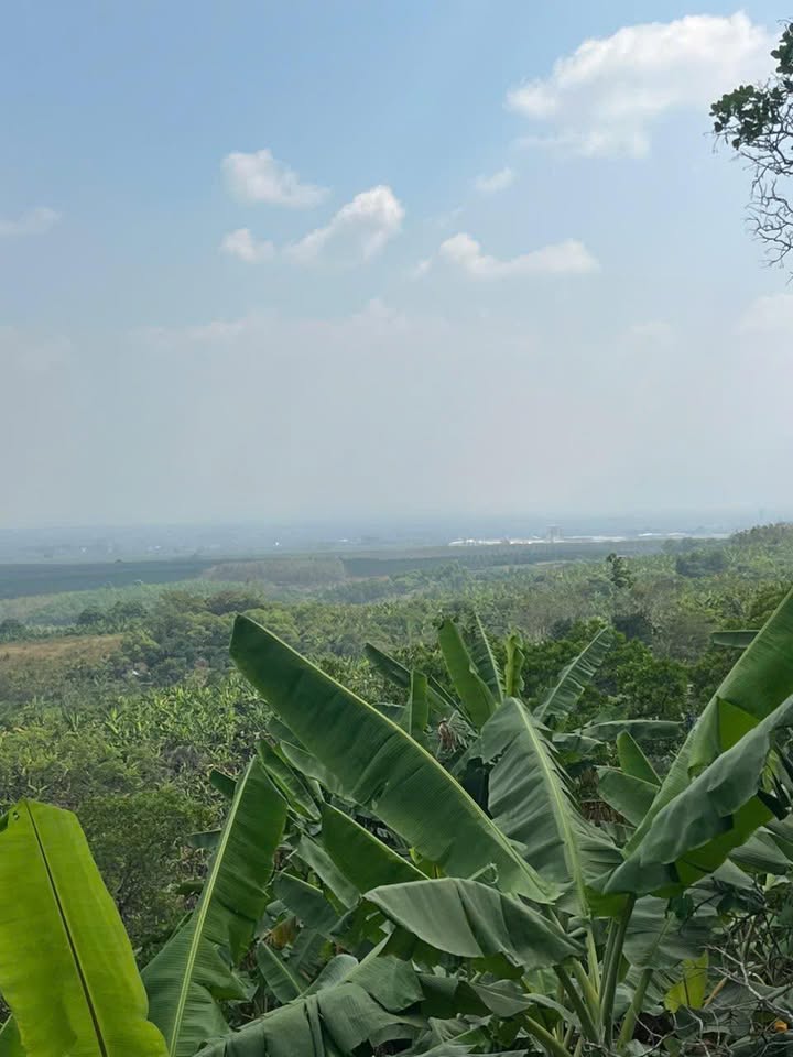 Đất Farm 14ha tại Dầu Giây, Đồng Nai giá 70 tỷ - Cơ hội đầu tư sinh lời!