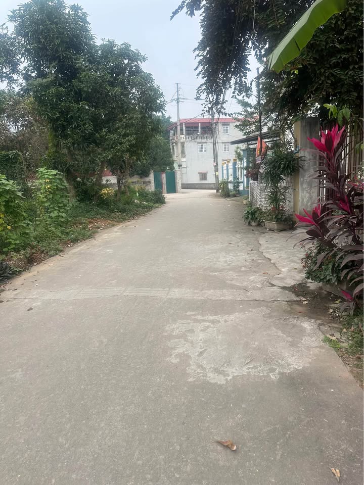 Đất nền đẹp tại phường Tùng Thiện, Sơn Tây, 150m² - Giá đầu tư hấp dẫn!