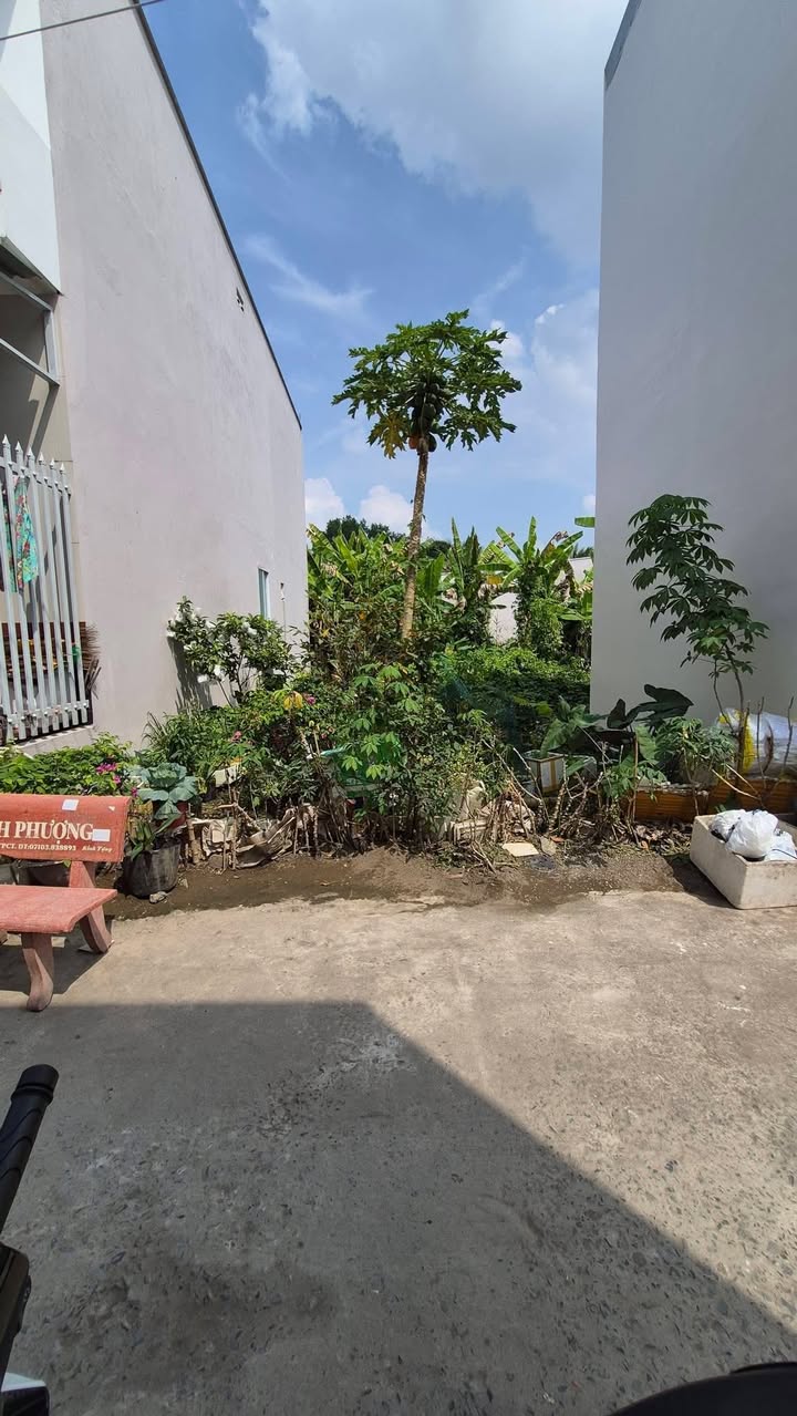 Đất nền thổ cư 55.8m² giá 1 tỷ - Cơ hội đầu tư tuyệt vời!