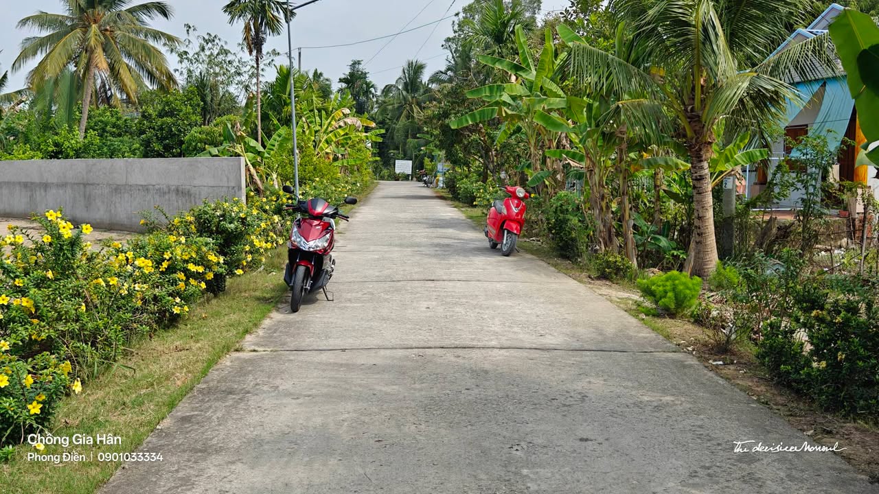 Đất nền thổ cư 300m² xã Nhơn Nghĩa, Phong Điền chỉ 800 triệu - Cơ hội đầu tư tuyệt vời!