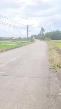 Đất nông nghiệp Huyện Duy Xuyên 487m² giá 550 triệu - Mặt tiền đường, cơ hội đầu tư hấp dẫn!