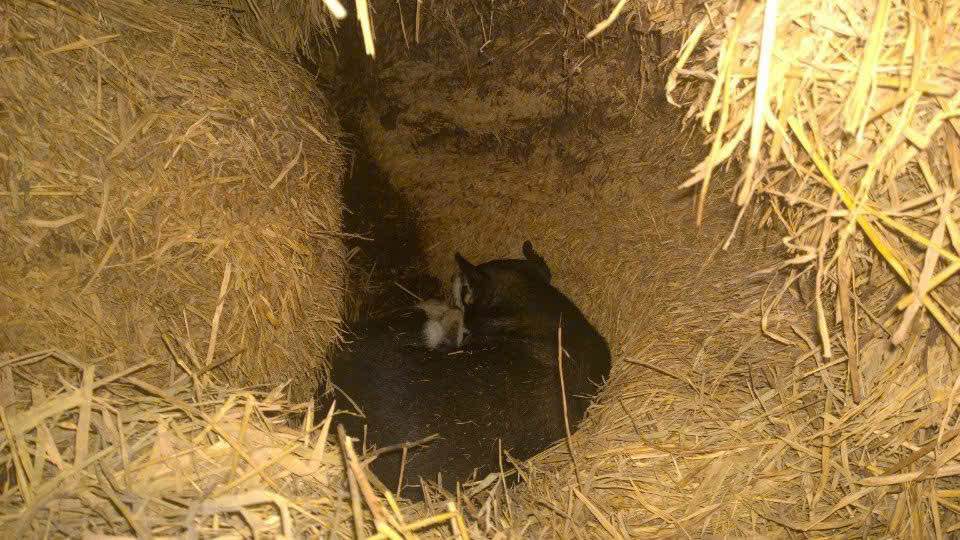 Đất nền gần sân bay Buôn Ma Thuột 100m² giá chỉ 699 triệu - Cơ hội đầu tư tuyệt vời!