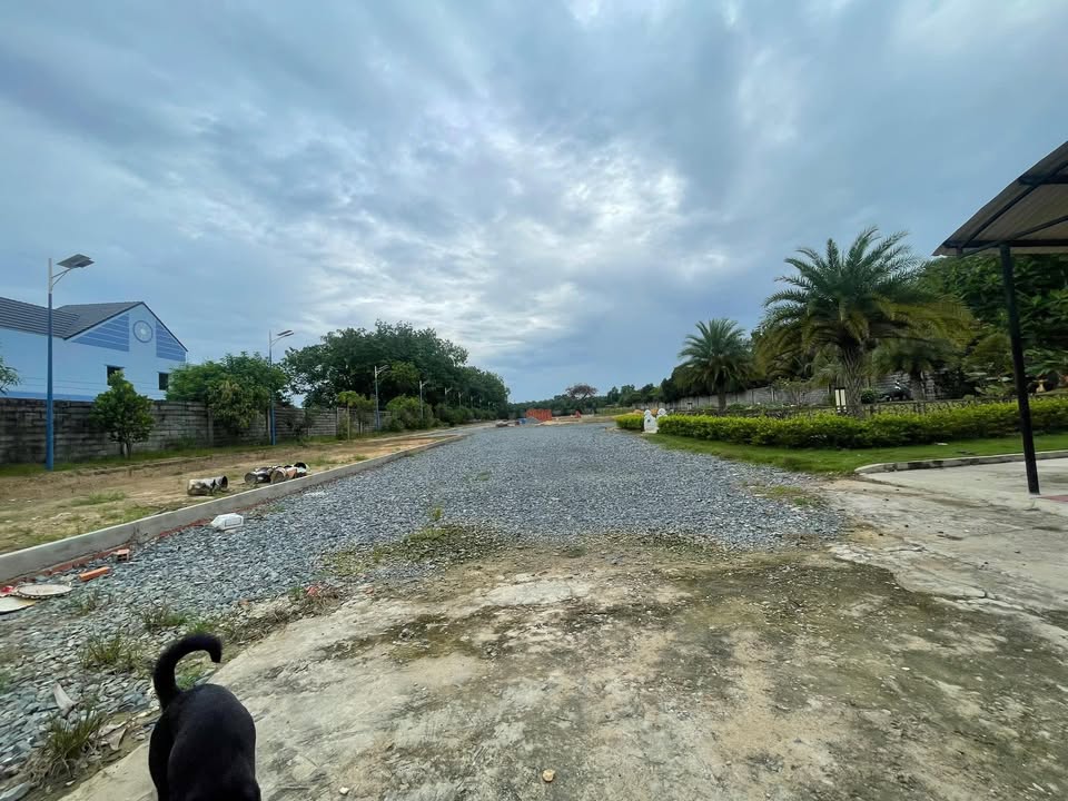 Đất nền Phú Chánh Tân Uyên 5548m² giá 27.74 tỷ - Sổ đỏ chính chủ, vị trí đắc địa!