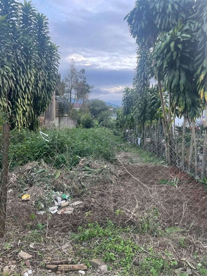 Bán gấp FrontHouse mặt tiền đường Nguyễn Hữu Chỉnh, Bảo Lộc 1.068m² - Kinh doanh thuận lợi!