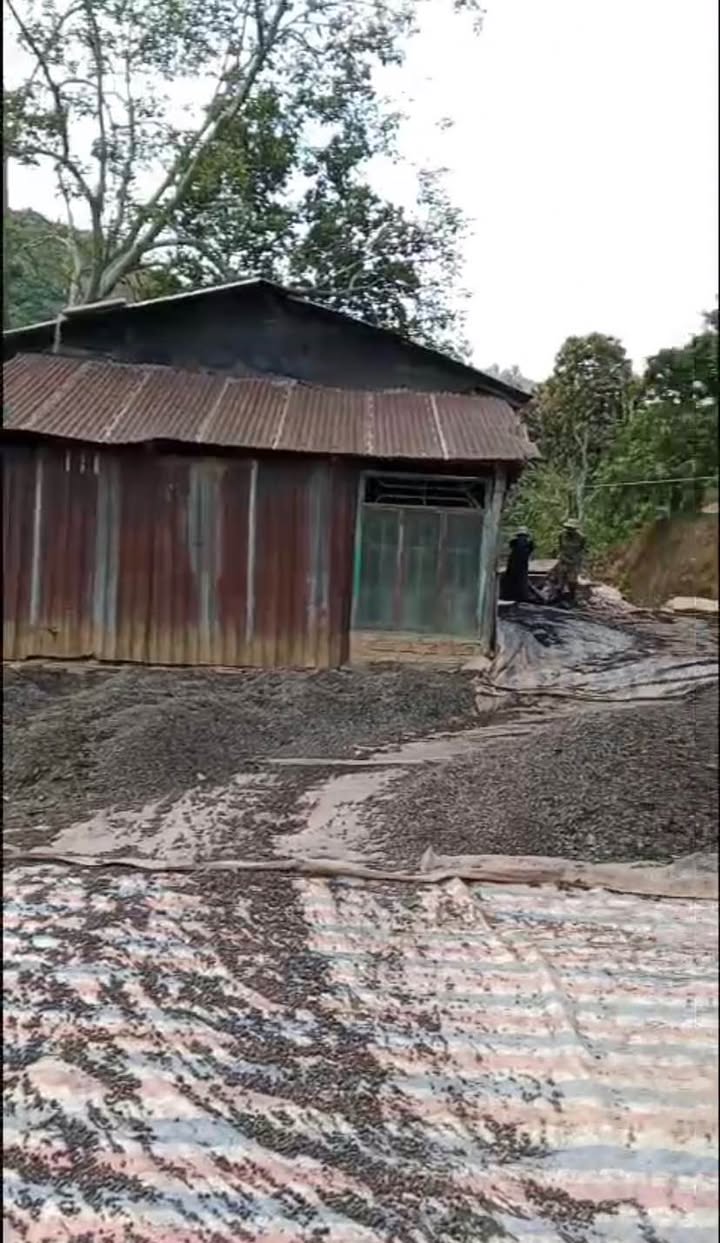 Đất nông nghiệp Di Linh 20.000m² giá 7.2 tỷ - Đầu tư sinh lời hấp dẫn!