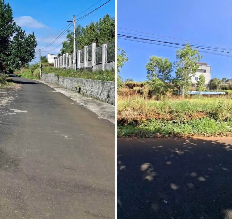 Bán đất thổ cư hẻm 164 Mạc Đĩnh Chi, Bảo Lộc 305m² - Cách trung tâm chỉ 5 phút!