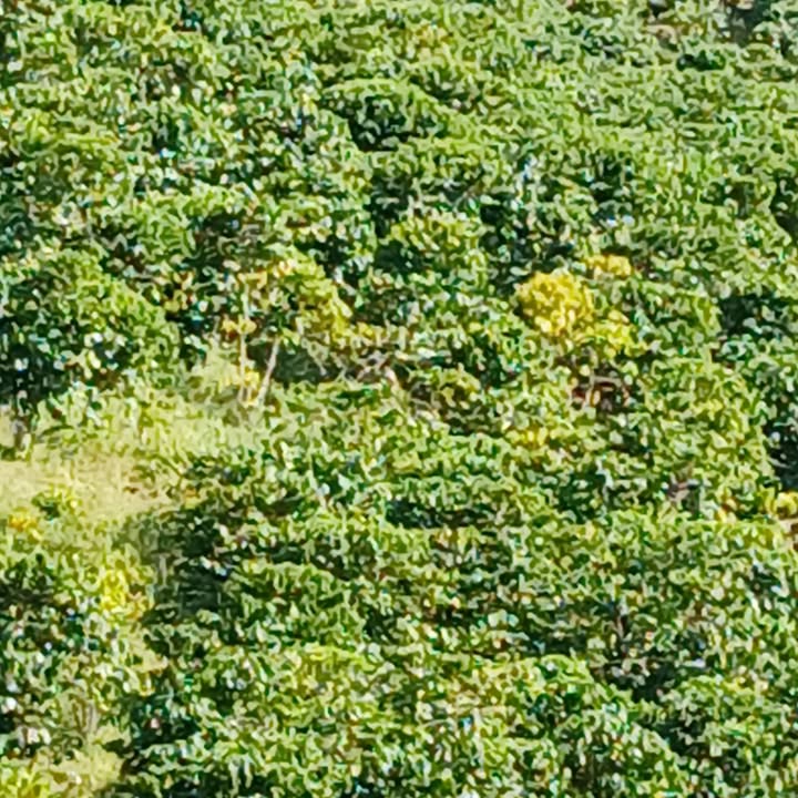 Đất nền 1,1ha Huyện Đam Rông giá 1,5 tỷ - Cơ hội đầu tư tốt!