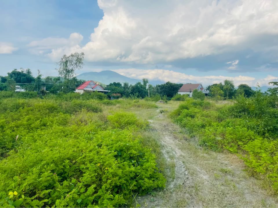 Đất rẫy Diên Thọ 6,34ha giá 6,3 tỷ - Đầu tư sinh lời ngay!