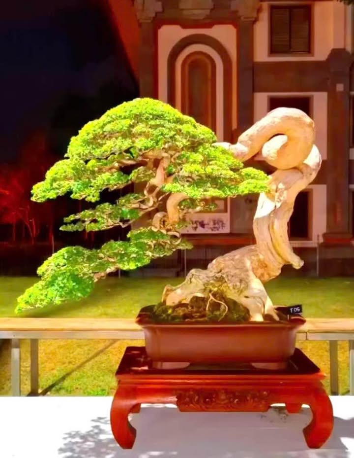 Đất thổ cư 150m² tại Tân Bửu, Nhà Bè - Giá chỉ 1.45 tỷ VND