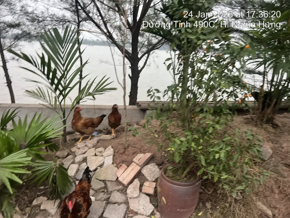 Dãy nhà phố Hàng Tổng Hải Phòng 41m² giá 2.8 tỷ - Bán gấp chính chủ!