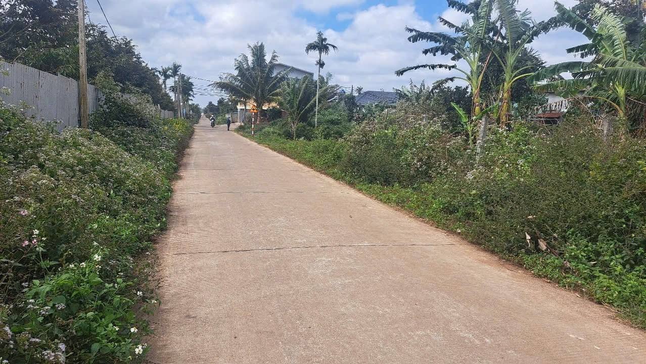 Đất thổ cư Phường Tân An 250m² giá 1.75 tỷ - Đầu tư sinh lời ngay!