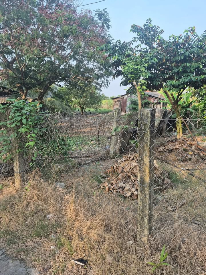 Đất thổ cư An Lục Long Châu Thành 765m² giá 1.5 tỷ - Sổ đỏ chính chủ