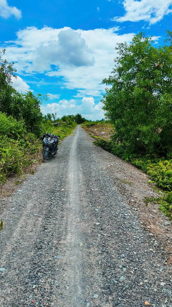 Đất vườn Bình Đức Long An 650m² giá 650 triệu - Đầu tư tiềm năng!