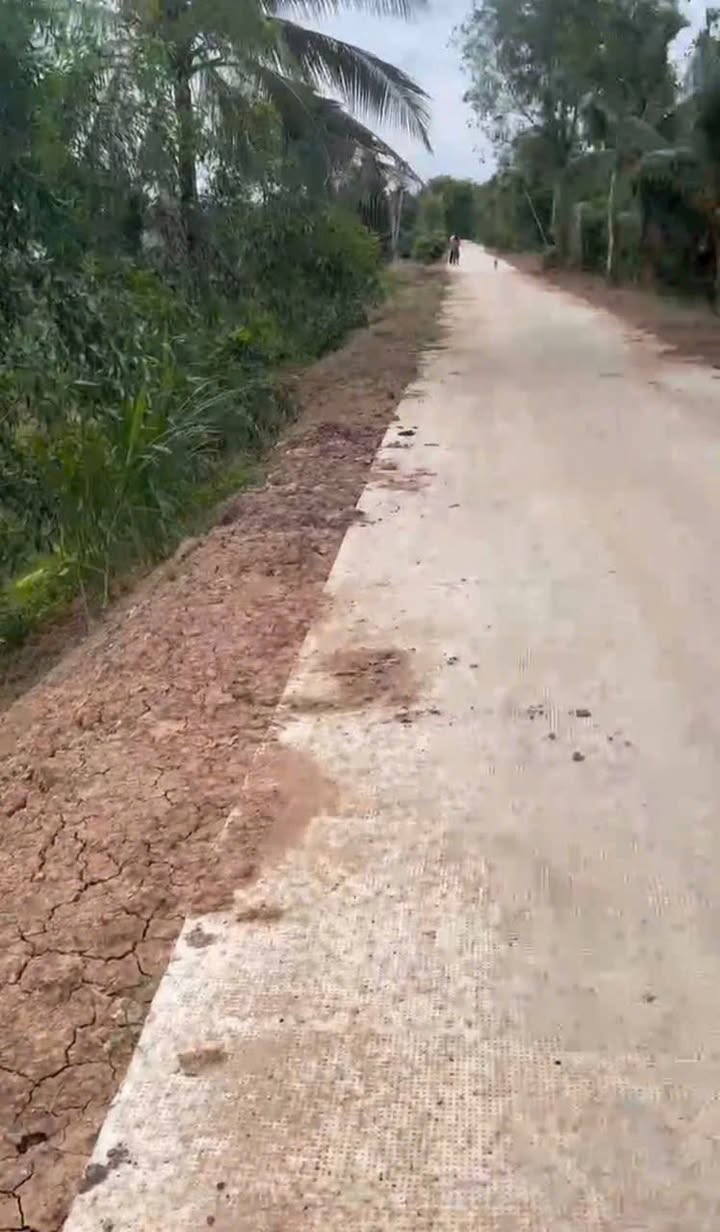 Đất lúa An Thạnh Bến Lức 1288m² giá 1.95 tỷ - Mặt tiền đường bê tông 6m