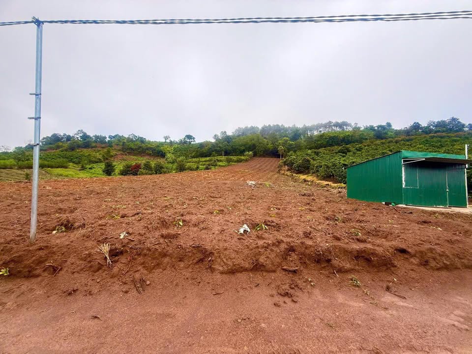 Đất nền 4000m² xã Tân Thành, huyện Đức Trọng, giá 1.165 tỷ - Cơ hội đầu tư hấp dẫn!