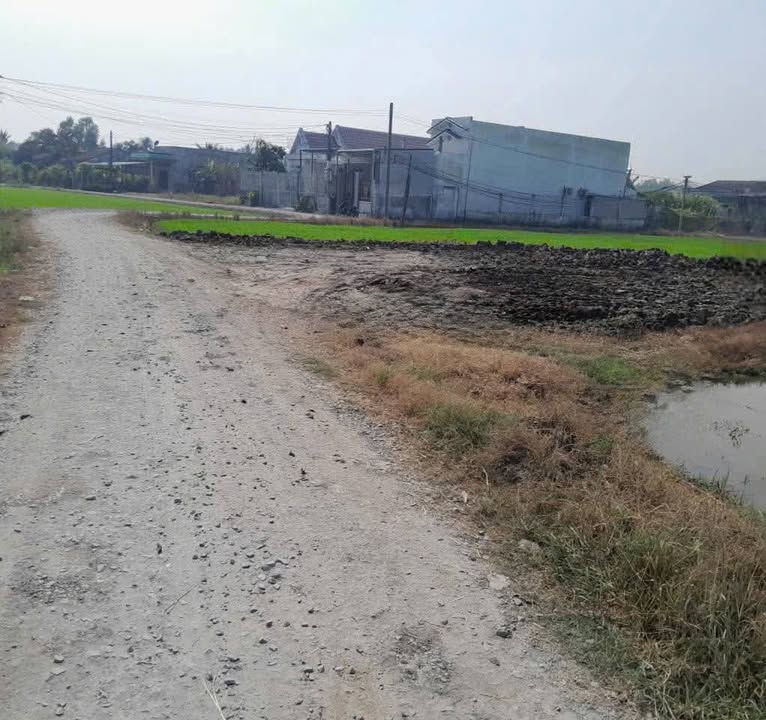 Đất nền Ấp 7, xã Nhựt Chánh, Bến Lức 140m² giá từ 730 triệu - Sổ đỏ chính chủ, thương lượng ngay!