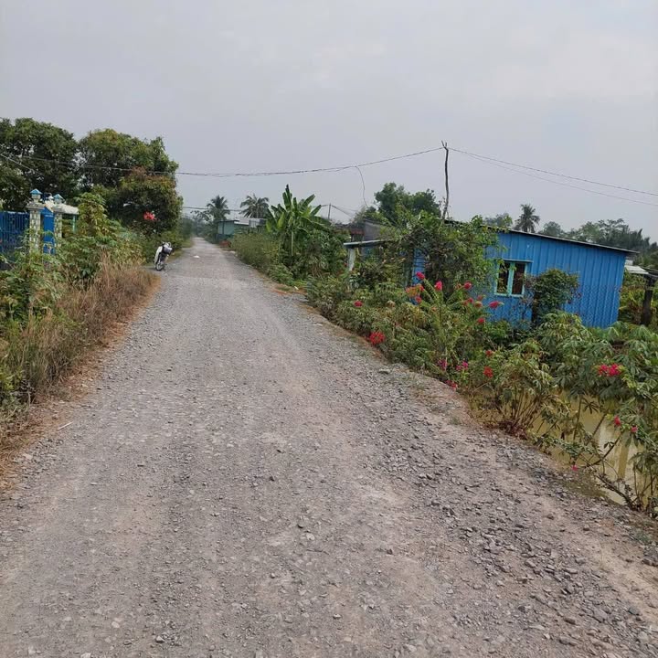 Đất cặp sông Vàm Cỏ Tây 11000m² giá 8.85 tỷ - Cơ hội đầu tư hấp dẫn!