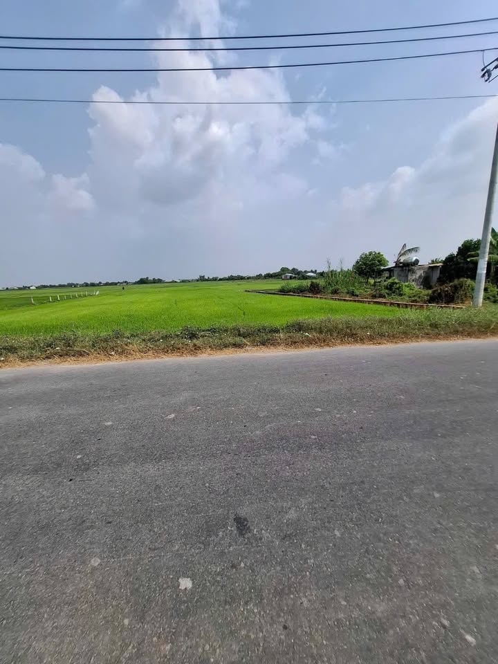 Đất nền An Ninh Tây 1320m² giá tốt - Thích hợp làm kho xưởng