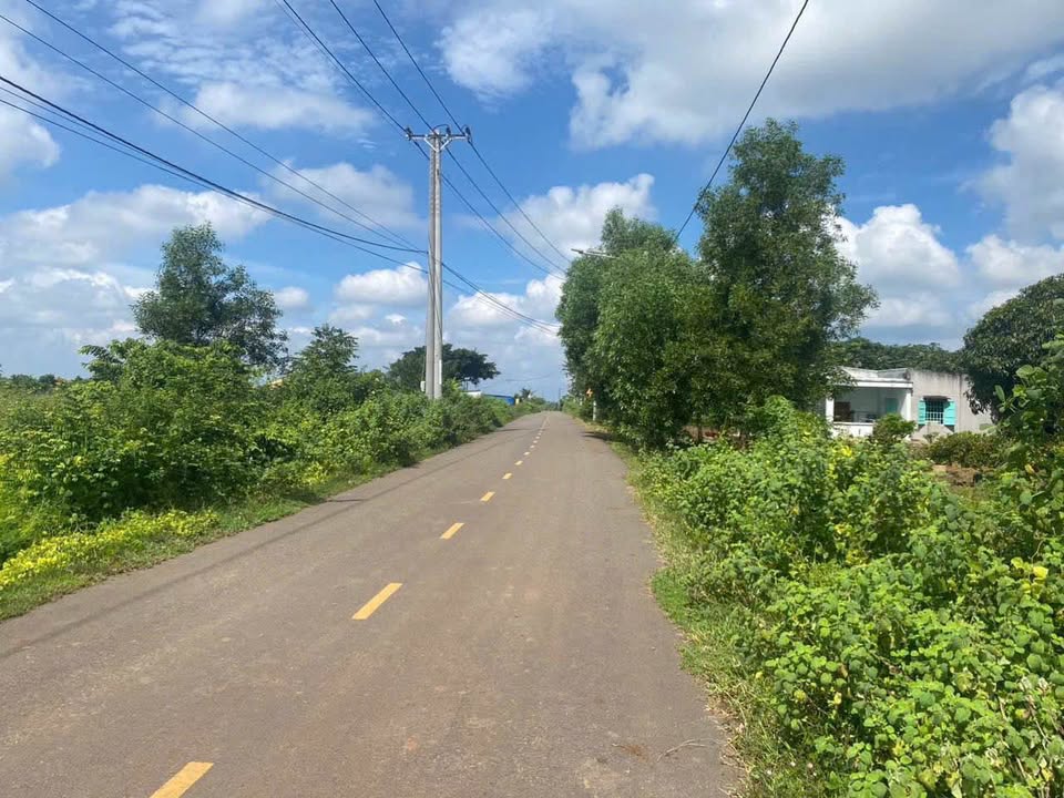 Đất nền phân lô tại Đường nhựa chính Xã Đất Đỏ 3400m² - Giá ưu đãi chỉ 4.99 tỷ!