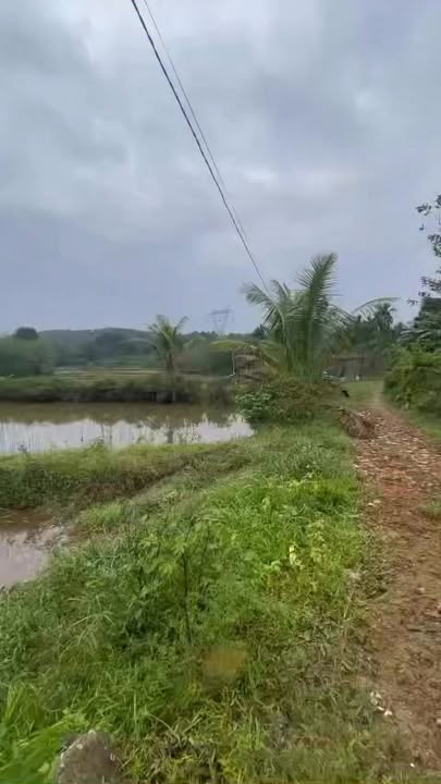 Đất nền Thủy Bằng - TP. Huế 7200m² giá thỏa thuận - Tiềm năng phát triển mạnh!