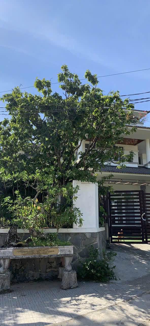 Biệt thự 2 mặt tiền Võ Duy Ninh, Thị Xã Hương Thủy, 308m² - Chính chủ bán gấp!