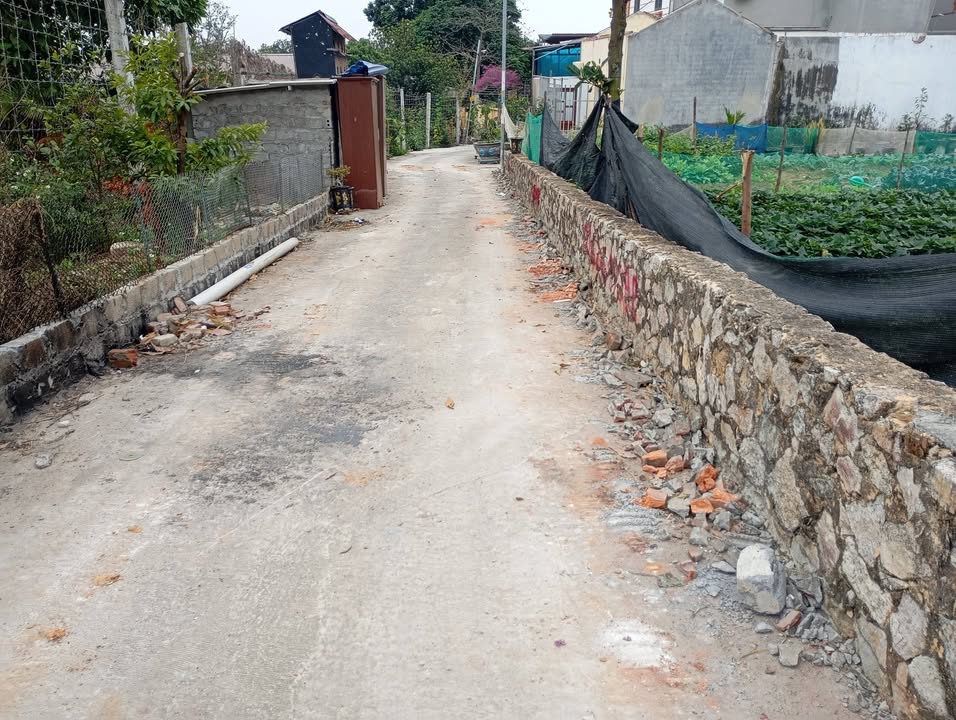 Đất thổ cư Phường Đào Viên, Bắc Ninh 103,3m² – Ô tô vào tận nơi!