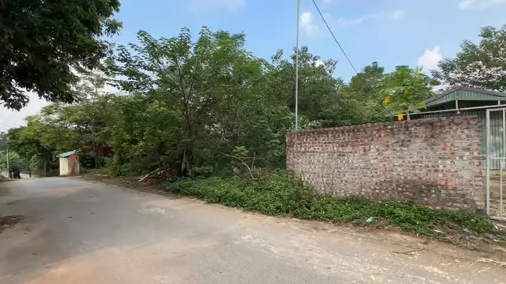 Đất Định Trung Vĩnh Yên 89m² giá 800 triệu - Đường thông ô tô tránh nhau!