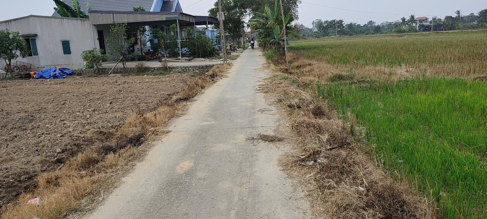 Đất nền đẹp tại Xã Quảng Bình, Thanh Hóa - 806m² - Giá chỉ 1 tỷ!