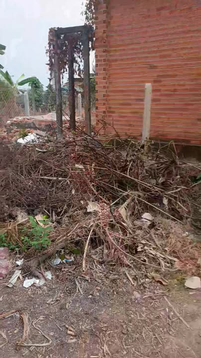 Nhà giá rẻ Trảng Bàng 189m² chỉ 899 triệu - Nở hậu thoáng đãng!