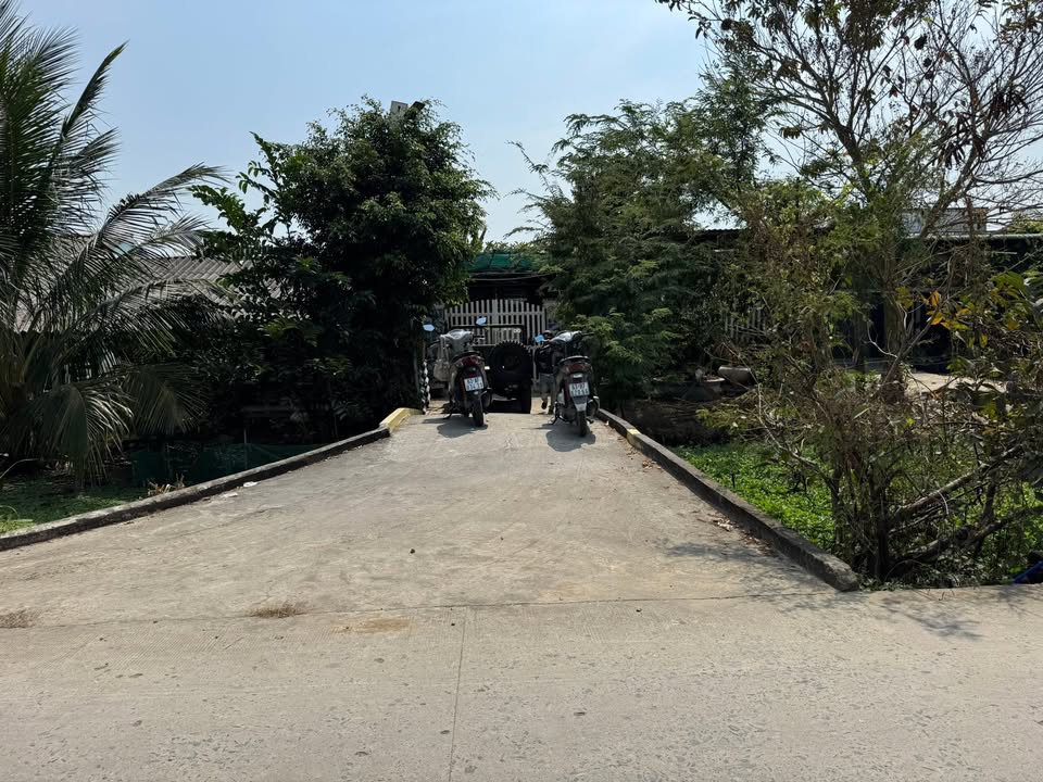 Nhà vườn Ấp Hòa Bình, 2104m² giá 2.5 tỷ - Sẵn sàng vào ở ngay!