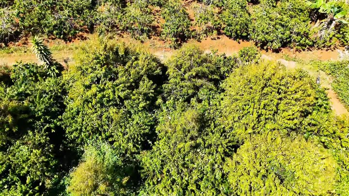 Đất nền dự án tại xã Lạc An, huyện Bắc Tân Uyên 16.000m² - Đầu tư sinh lời vượt trội!