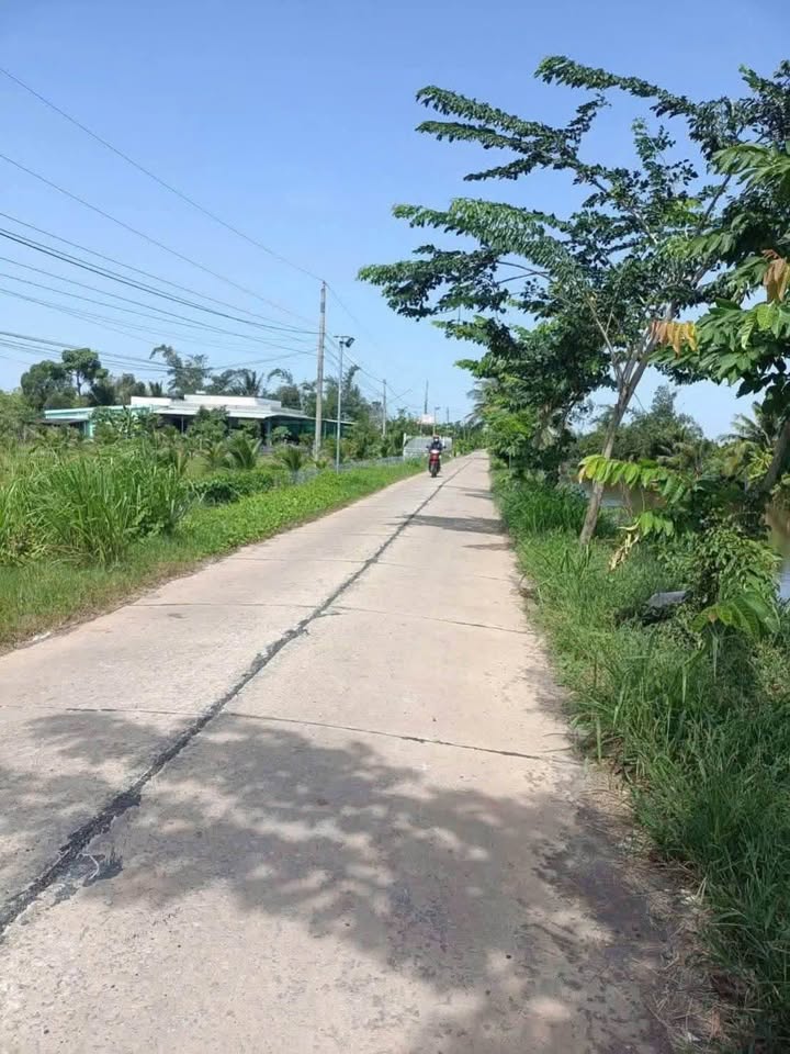 Đất lúa 1241m² tại Thanh Phú Long, Châu Thành - Giá 1.8 tỷ, Đường bêtông xe hơi vi vu!