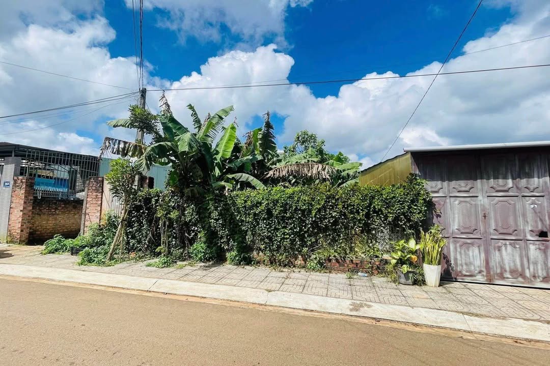 Mặt tiền Bế Văn Đàn, Phường Hội Phú, 168m² – Giá chỉ 2 tỷ, cơ hội đầu tư tuyệt vời!