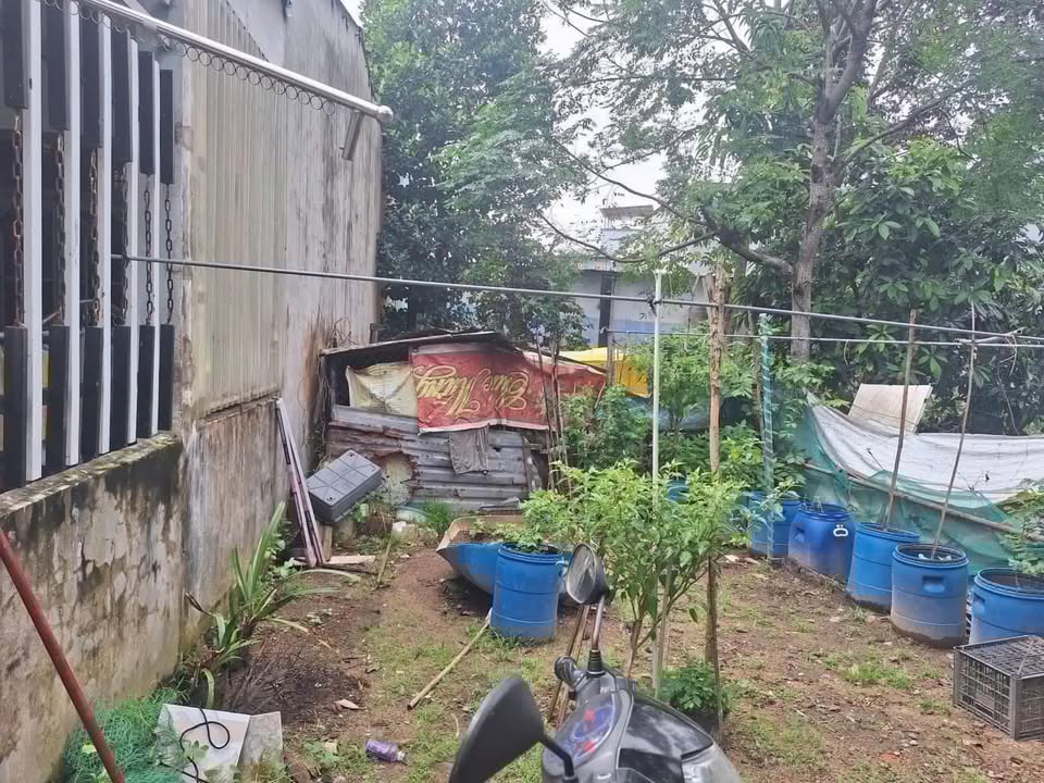 Đất nền 100m² Nguyễn Như Đãi, Cẩm Lệ - Sổ đỏ chính chủ, giá chỉ 2.15 tỷ!